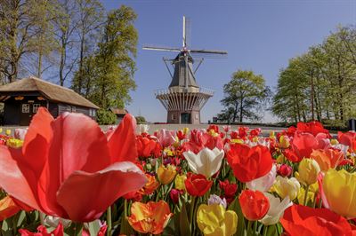 Tulpen, Windmühlen & ein Hotelschiff